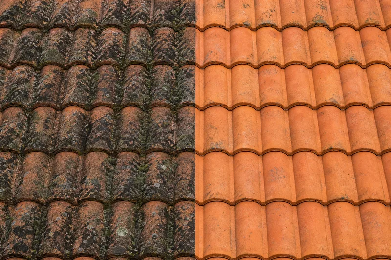 Roof before and after soft washing, mould removed to reveal clean tiles