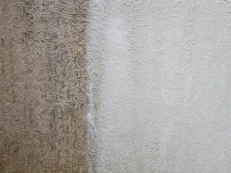Soft washing a rendered Perth house exterior, half mouldy half clean