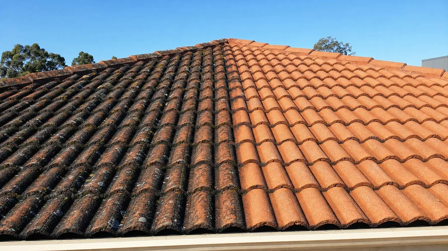 Terracotta roof tiles half covered in lichen and mould, half cleaned